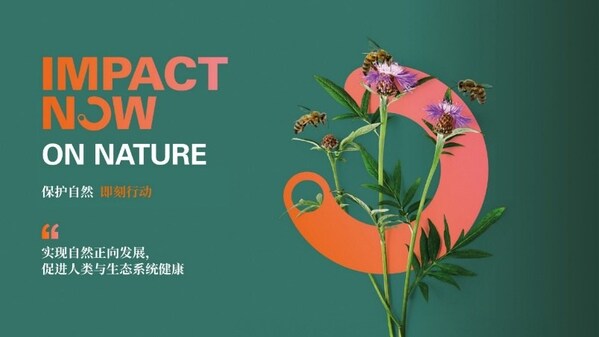 SGS "IMPACT NOW 可持续发展 即刻行动" 解决方案